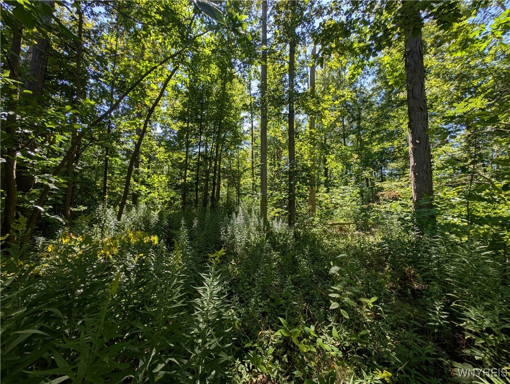 photo undefined:  Lake Shore Road, Hamburg NY 14075