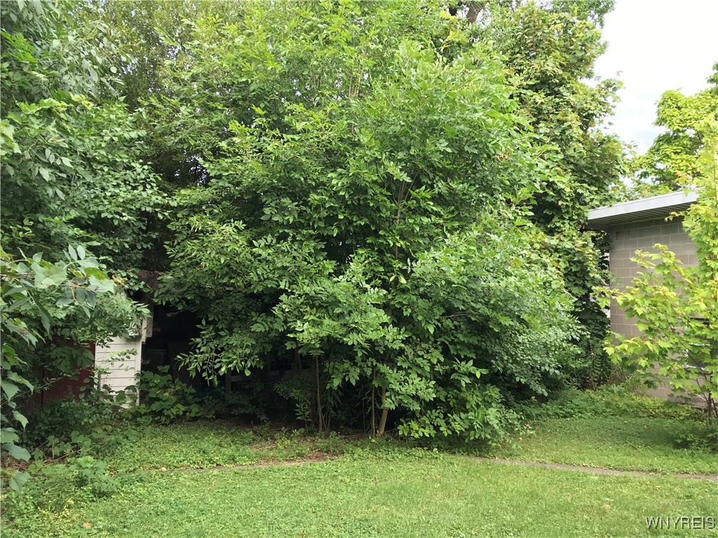 photo undefined: 5936 Dover Road, Hamburg NY 14085