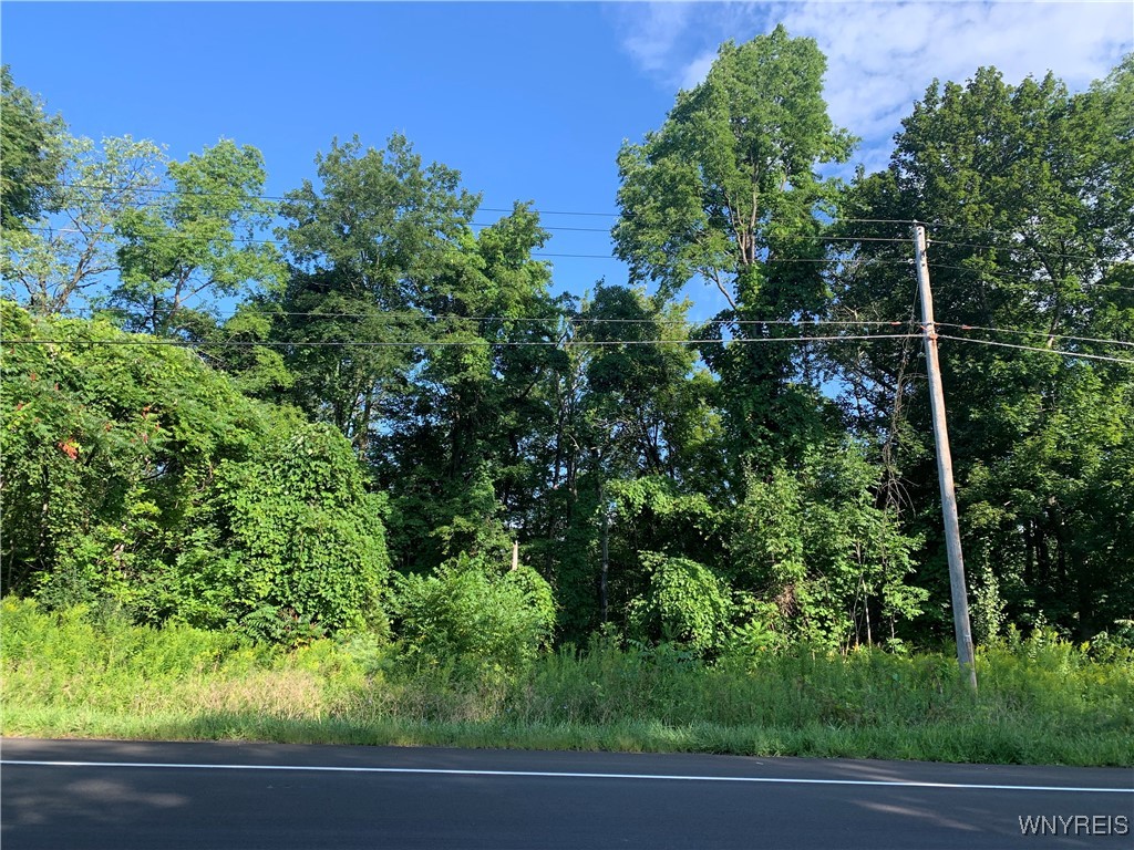 photo undefined:  Route 62, Dayton NY 14138
