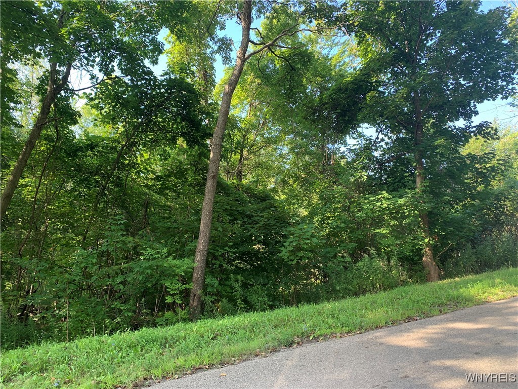 photo undefined:  Route 62, Dayton NY 14138