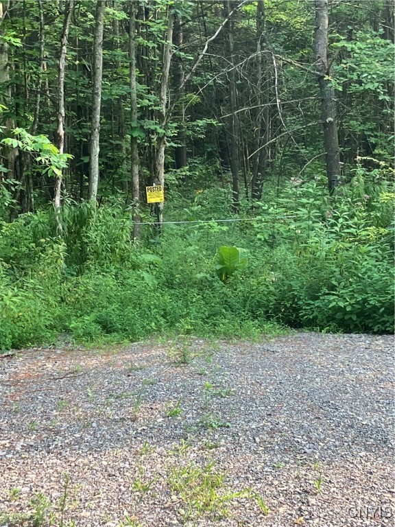photo 0:  Lead Mine Road, Rossie NY 13679