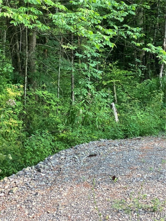 photo agtk:  Lead Mine Road, Rossie NY 13679