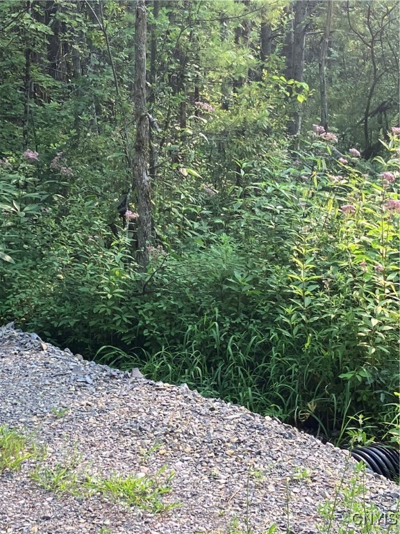photo undefined:  Lead Mine Road, Rossie NY 13679