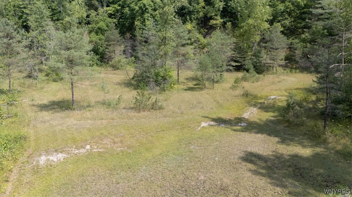 photo undefined: VL 20.2, 21, 23 Knapp Road, Colden NY 14033