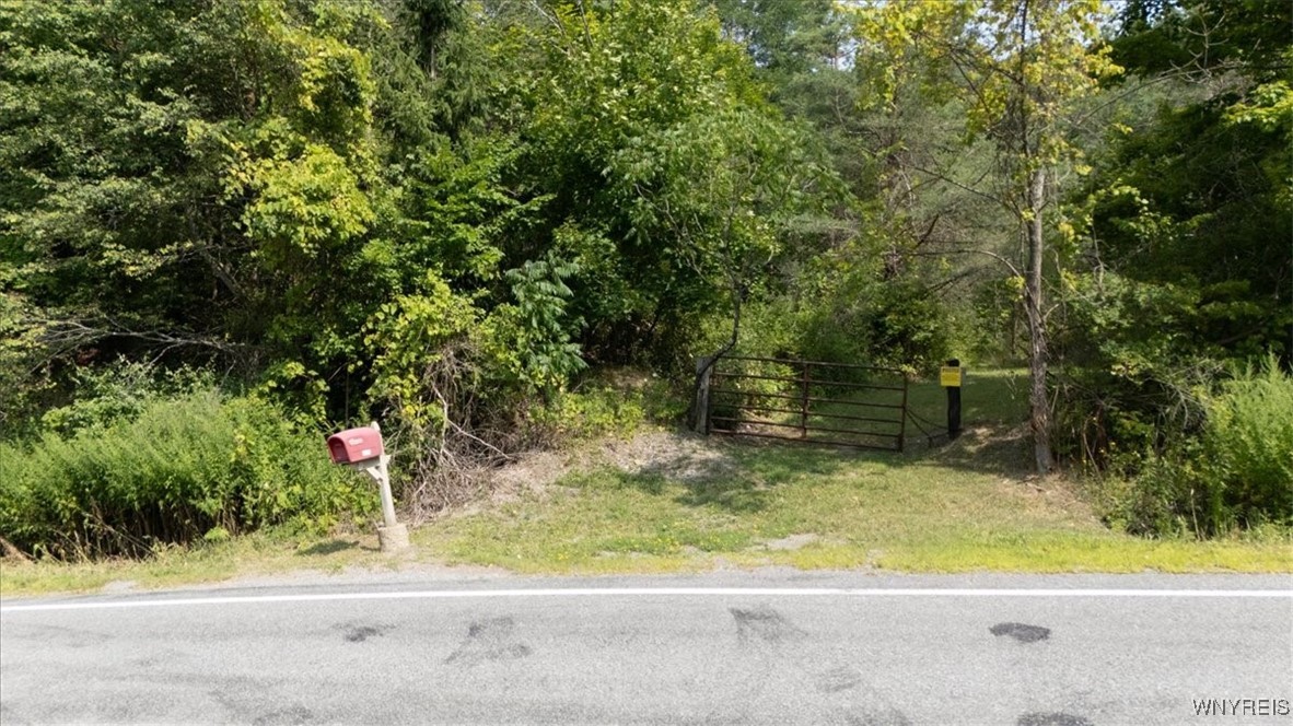 photo undefined: VL 20.2, 21, 23 Knapp Road, Colden NY 14033