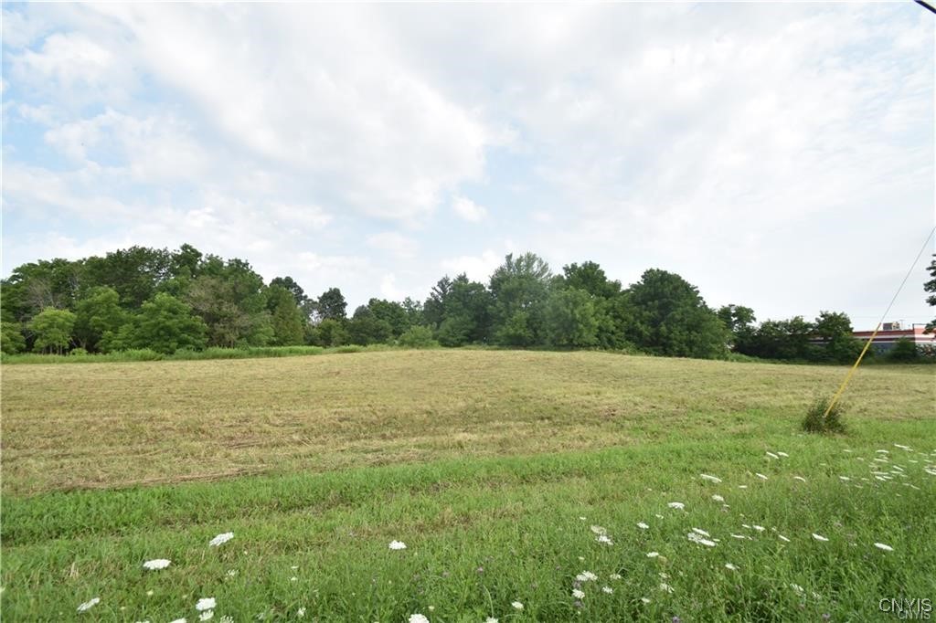 photo 8AVNDp9qxDaLkTw: 0 Upper Lenox Ave, Oneida NY 13421