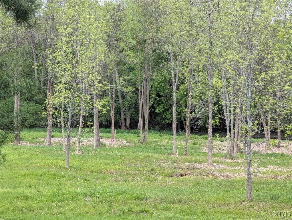 photo undefined: 16744 Thompson Trail Drive, Brownville NY 13634