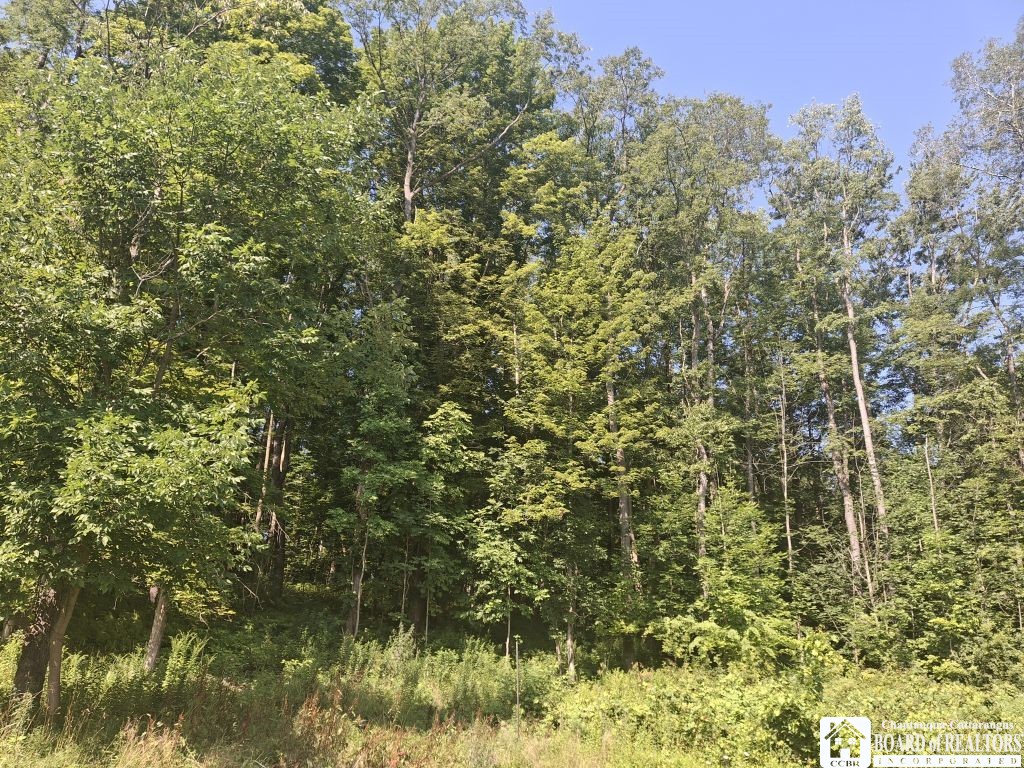 photo undefined: 6517 US RTE. 83 South Road, Cherry Creek NY 14723