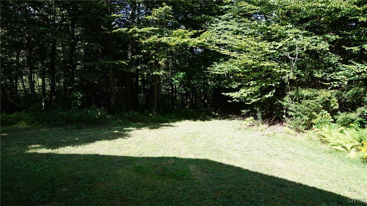 photo 3 : 7341 County Route 17, Boylston NY 13083