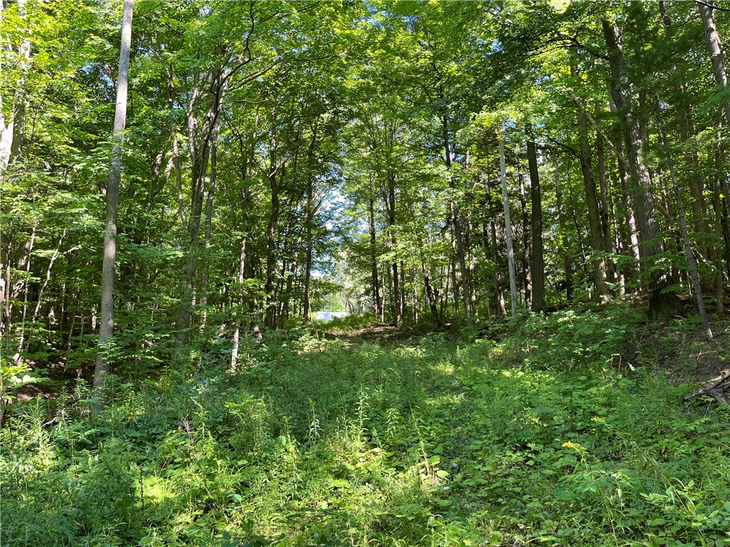 photo undefined: 6484 Dugway Road, Bristol NY 14424