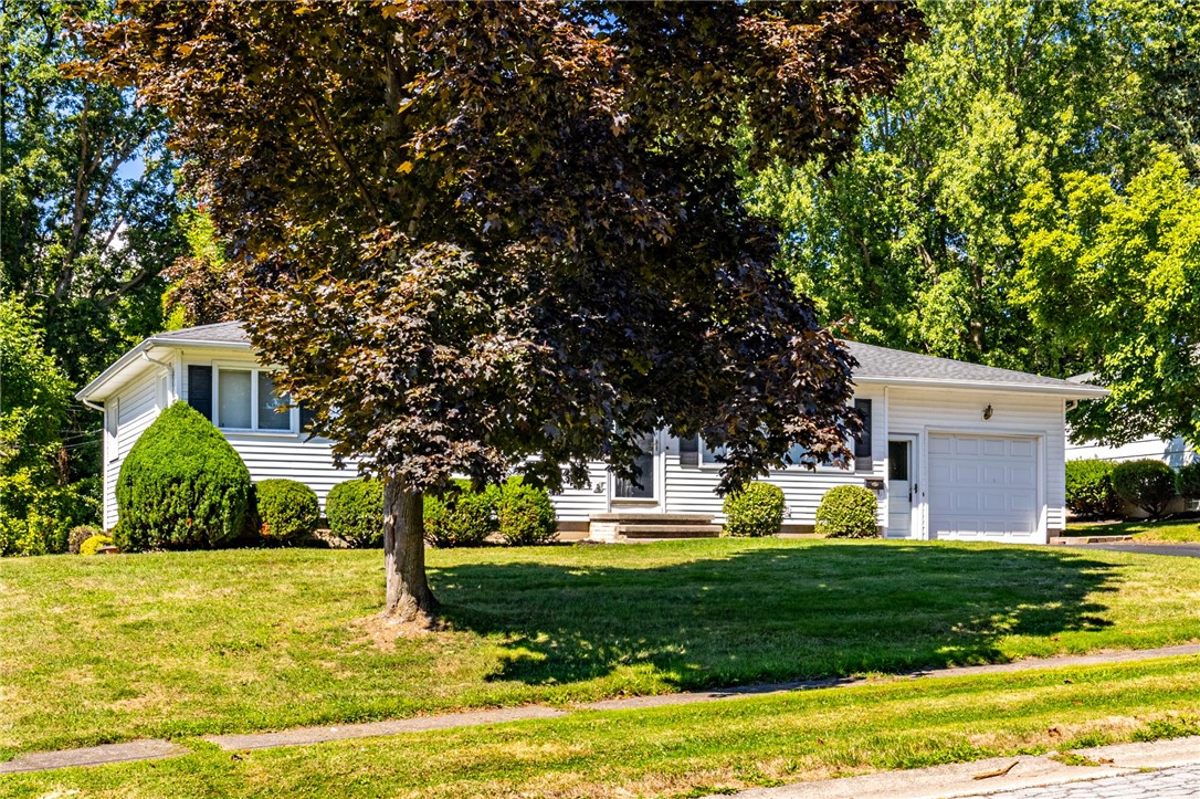 photo undefined: 39 Rigney Lane, Greece NY 14612