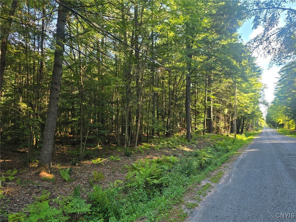 photo undefined: 0 Hall Road, Vienna NY 13042