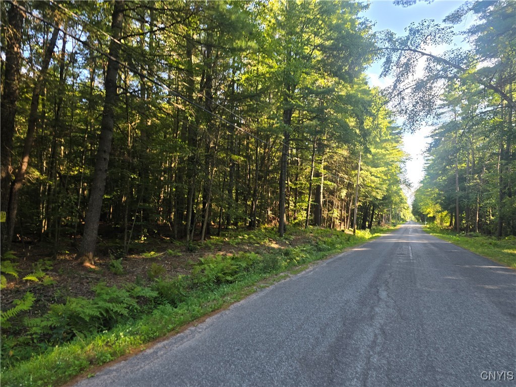 photo EeSdLGjpVCI-yBNhl9jnEhZD5F25Ge6bAk: 0 Hall Road, Vienna NY 13042