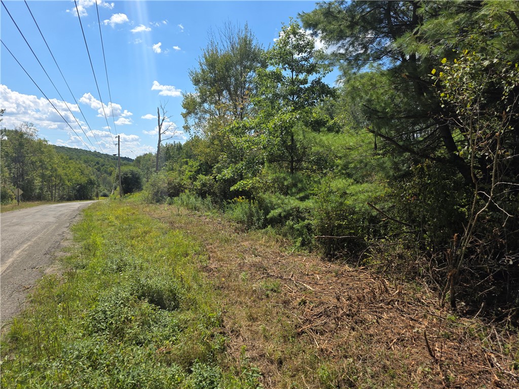 photo 1 :  Frog Hollow Road, Campbell NY 14870