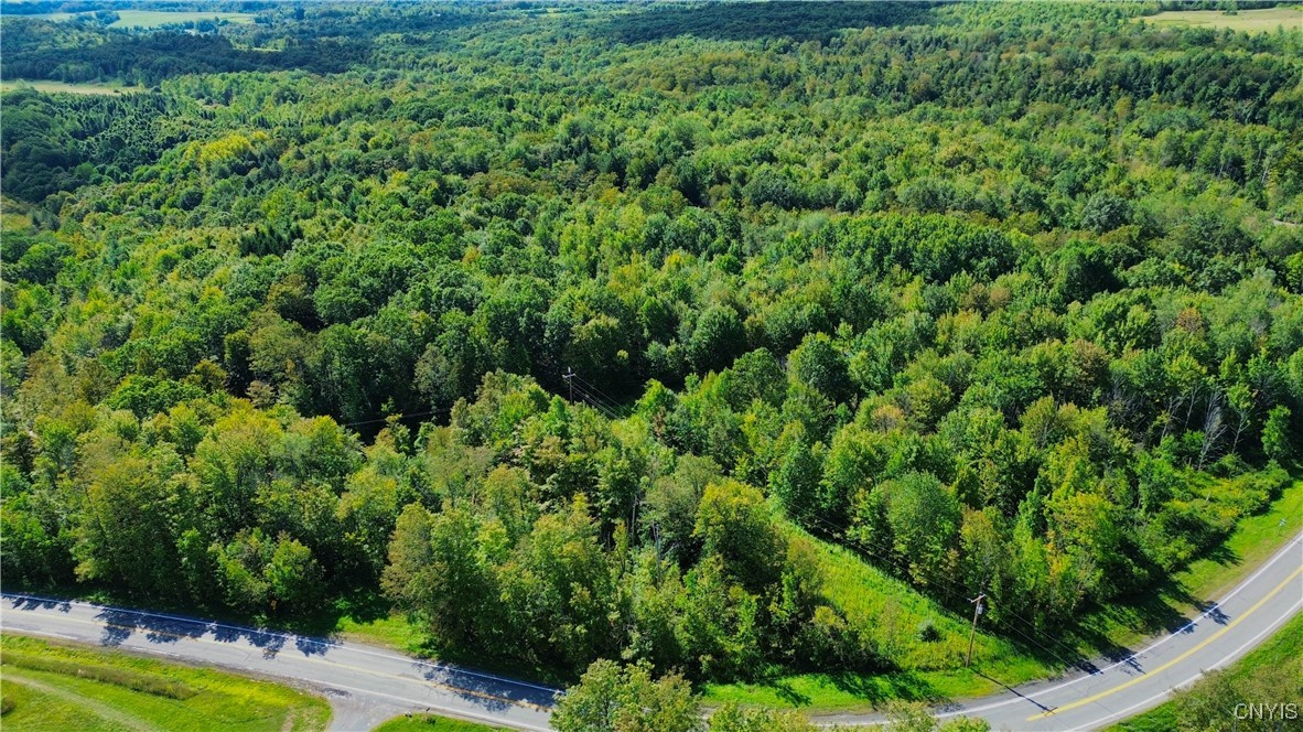 photo tDPq747JCtZ5gGtm1EMfwitSEDpFjEiocbrB7xTE1A: Lot 5-5 Paines Hollow Road, Little Falls Town NY 13407