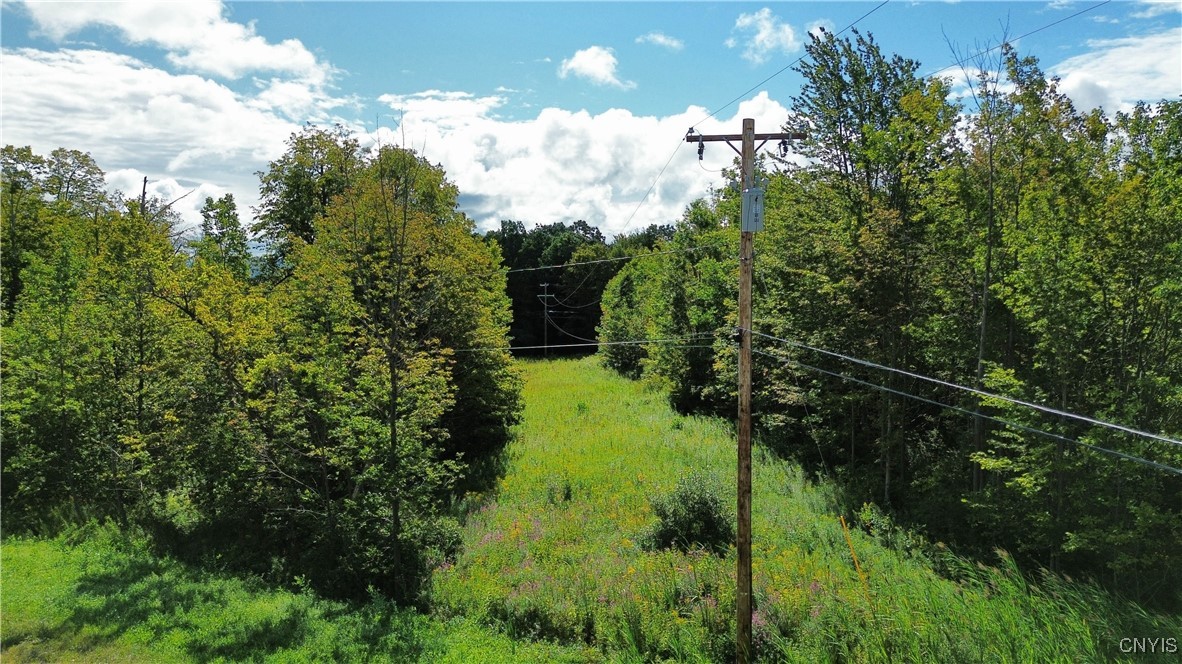 photo sL32laXdTpdc-0: Lot 5-5 Paines Hollow Road, Little Falls Town NY 13407