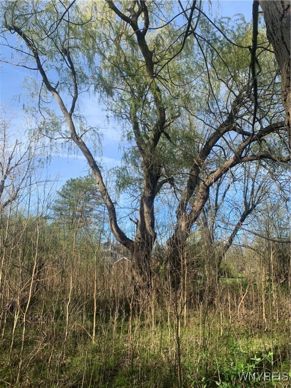 photo undefined: 265 Erie Street, Lancaster NY 14086