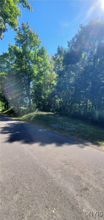 photo undefined: 5706 Old State Road, Diana NY 13665