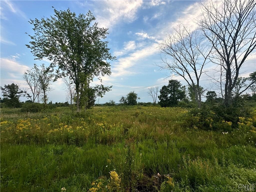 photo undefined: Lot 5 Rt-12, Clayton NY 13624