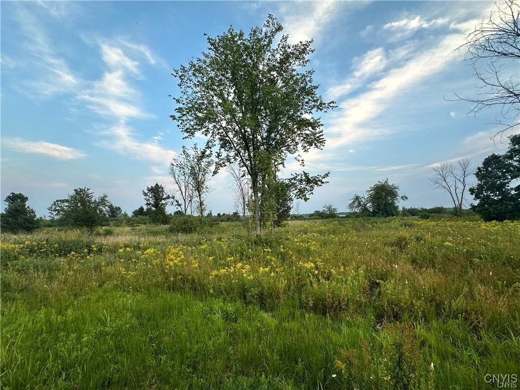 photo undefined: Lot 5B Rt-12, Clayton NY 13624