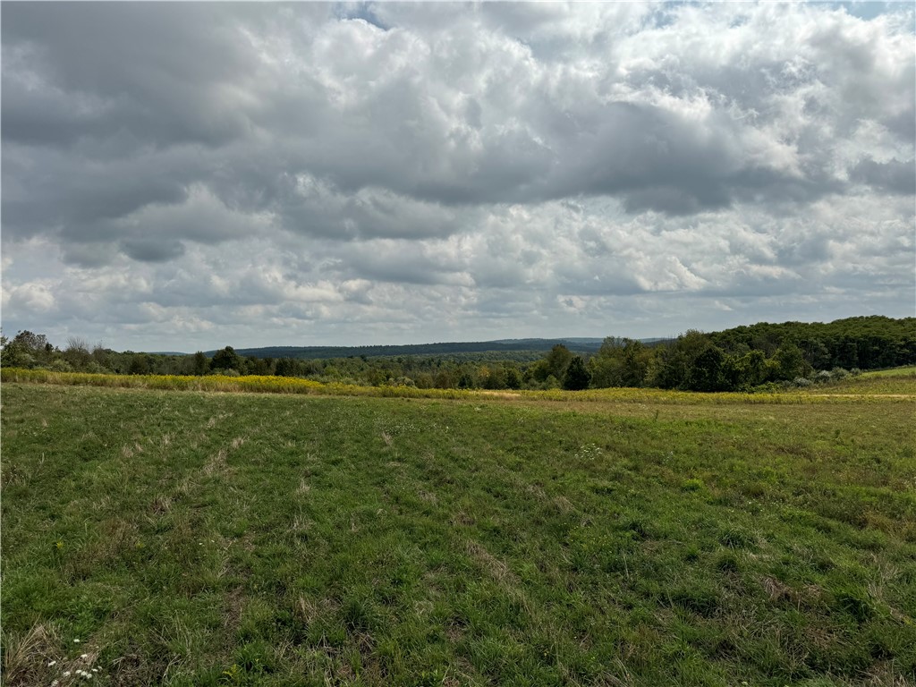 photo undefined: 0 Terry Hill Rd, Veteran NY 14845