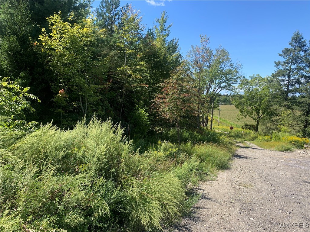 photo undefined: 9164 Gowanda State Road, Eden NY 14057