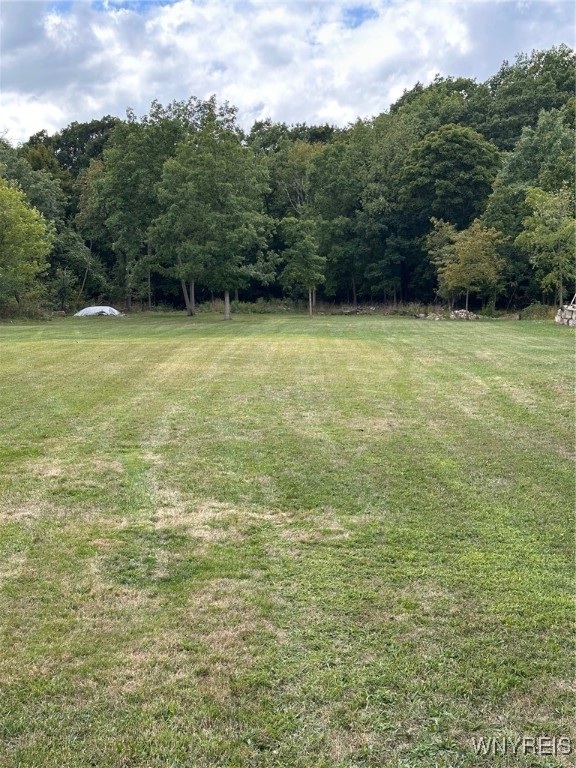 photo undefined: 225 Center Street, Lockport City NY 14094