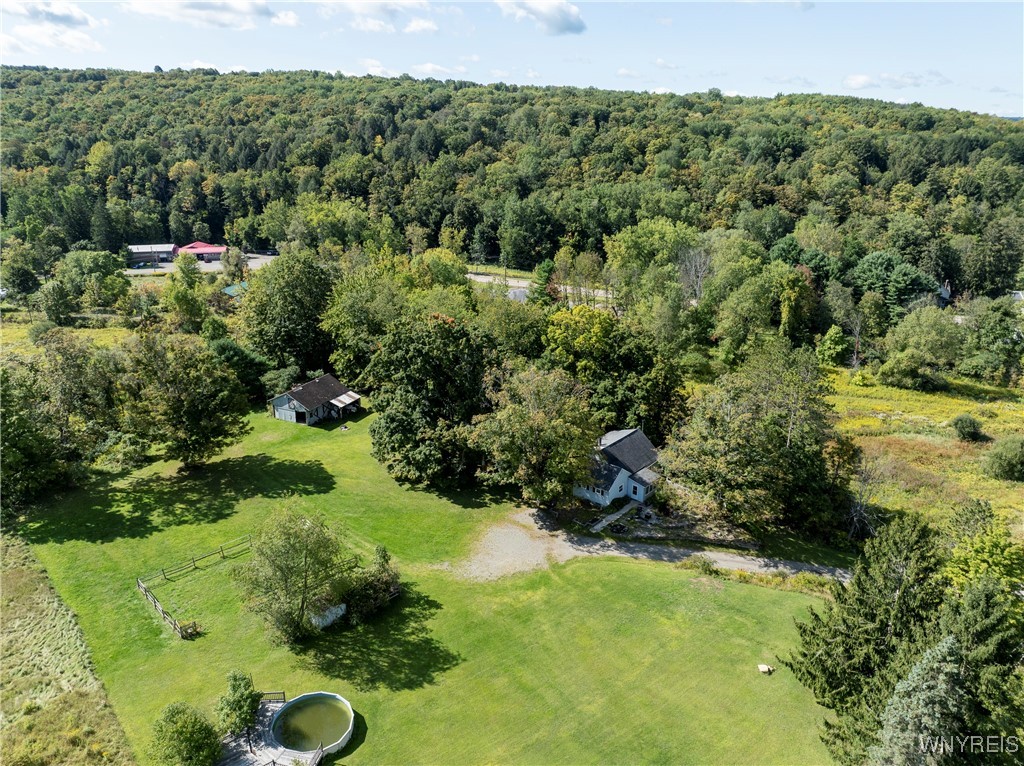 photo undefined: 8919 State Road, Colden NY 14033
