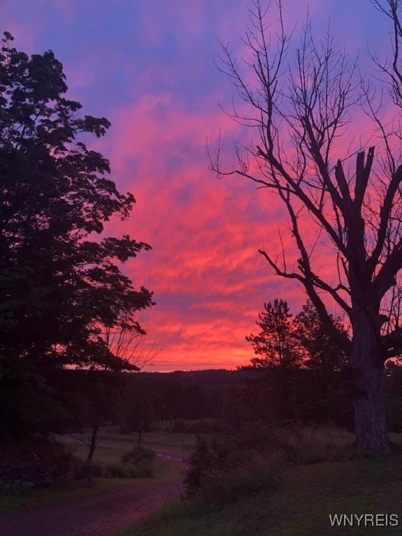 photo undefined: 8919 State Road, Colden NY 14033