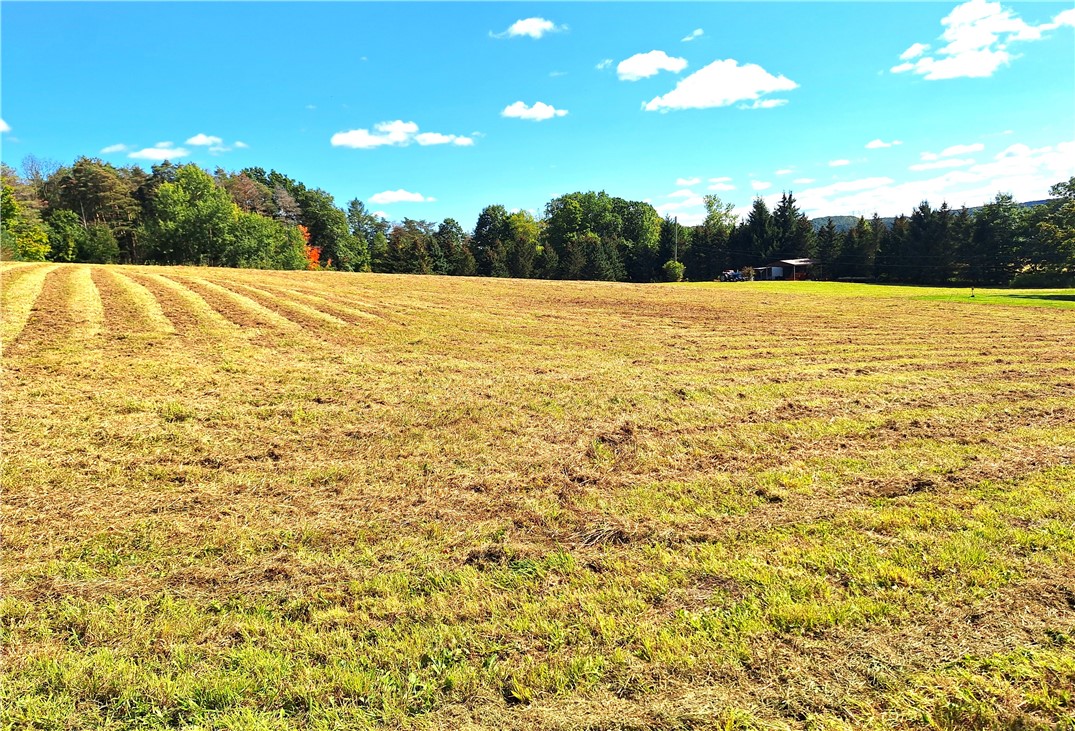 photo undefined:  Rt-21 North, Wayland NY 14572