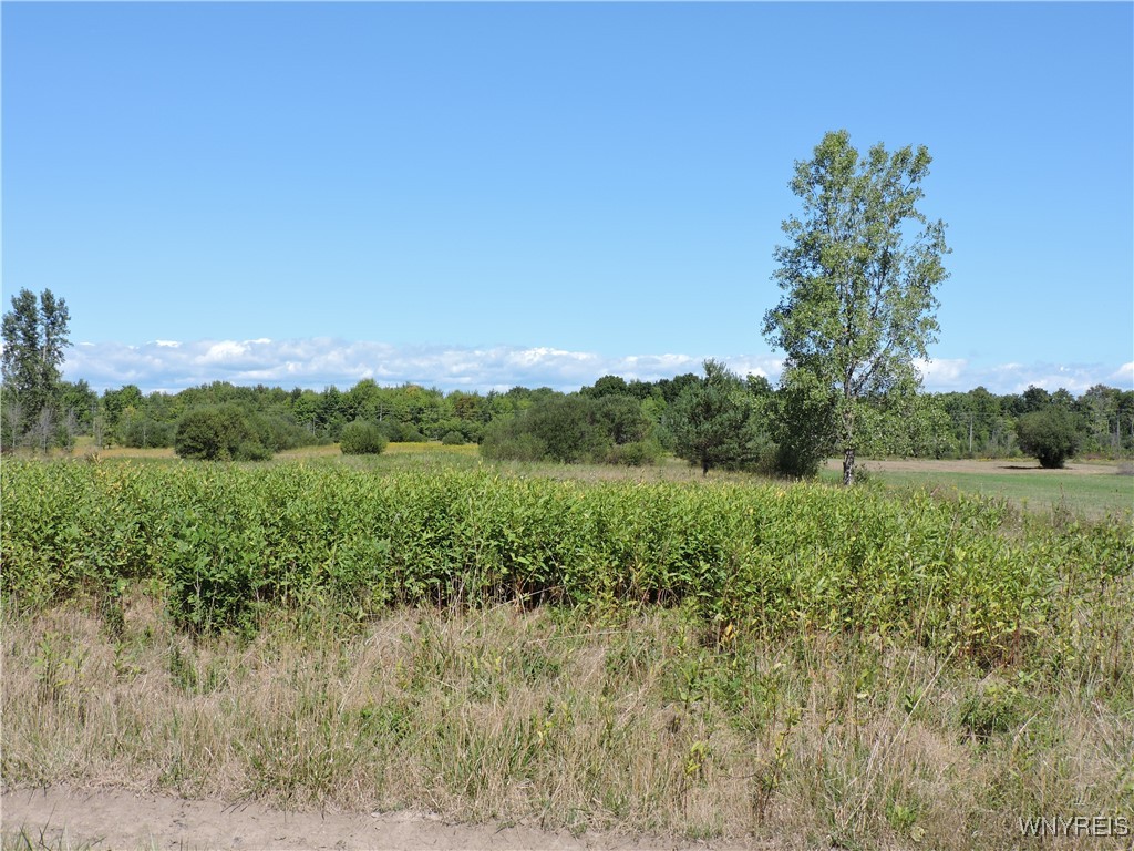 photo undefined: VL 121 Sturgeon Point Road, Evans NY 14047