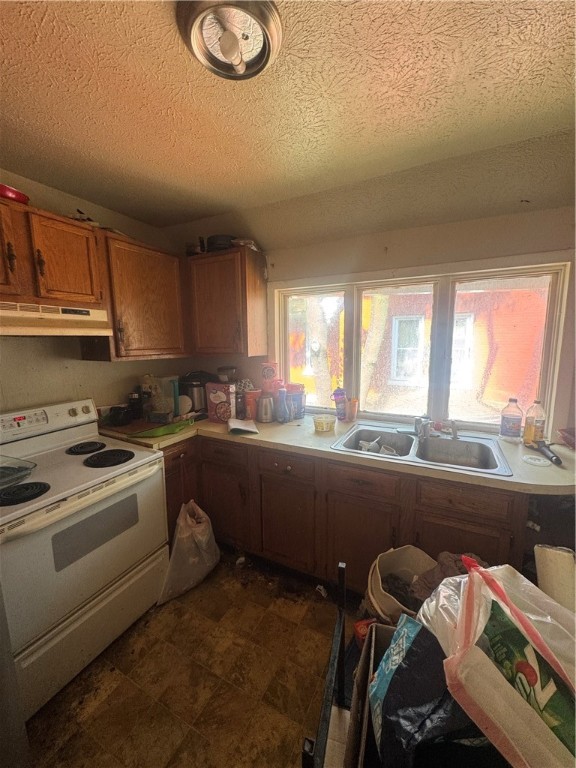 photo undefined: 351 Jefferson Avenue, Rochester NY 14611
