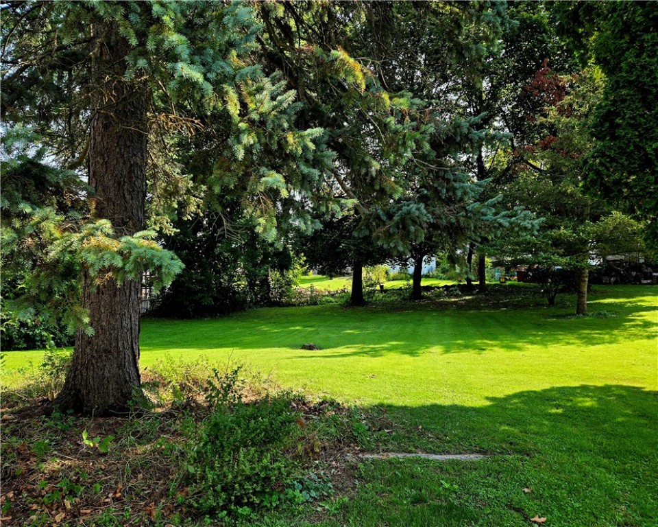 photo c: 30 Phelps Street, Lyons NY 14489