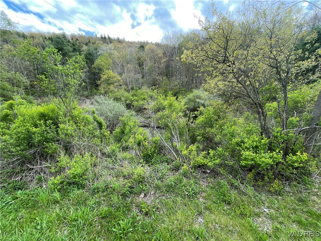 photo undefined: 176 Lattabrook Road, Horseheads NY 14845