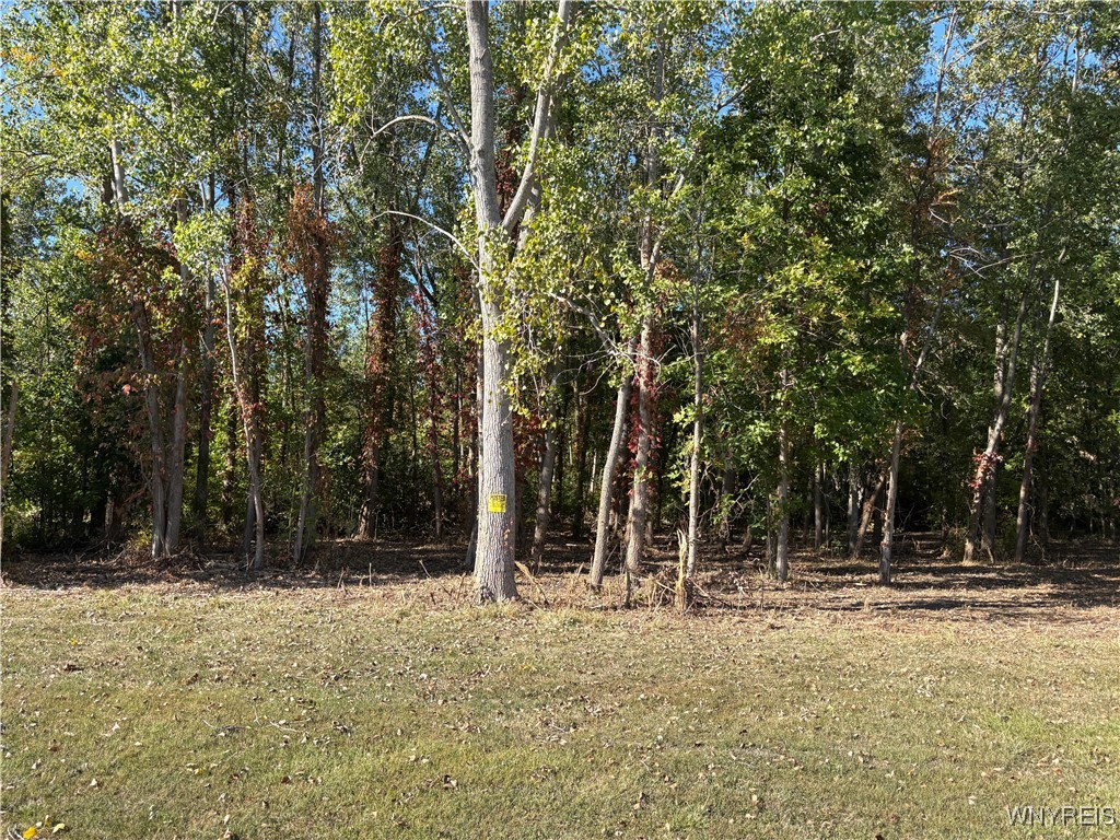 photo undefined:  Kerwin Road North, Hartland NY 14067