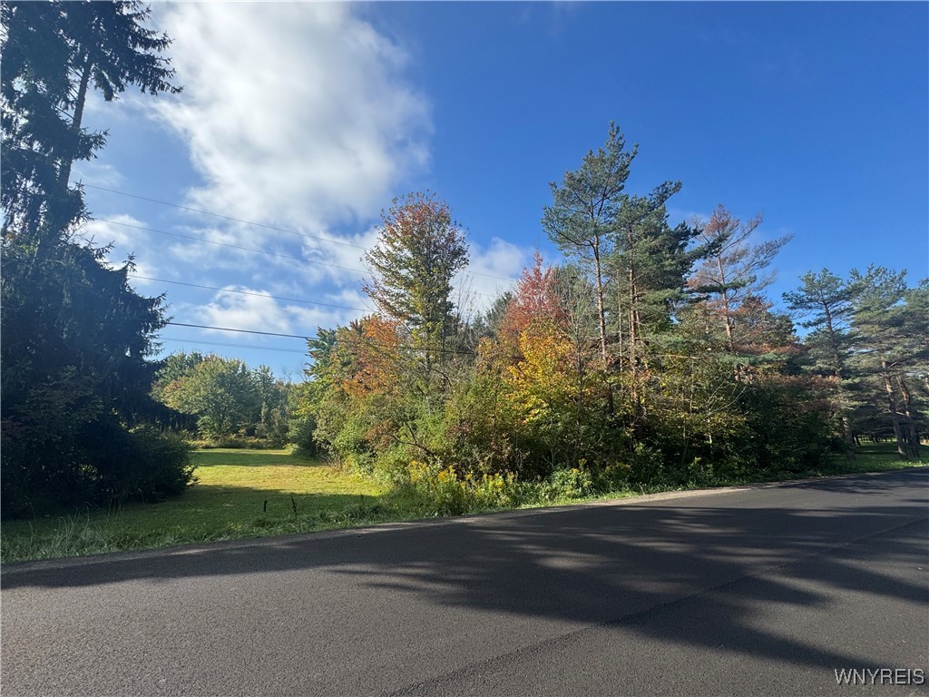 photo BVm3R1NI4U1d5NwrykBcTN9tuYLLLrFJVD7k: VL Behm Road, Orchard Park NY 14170