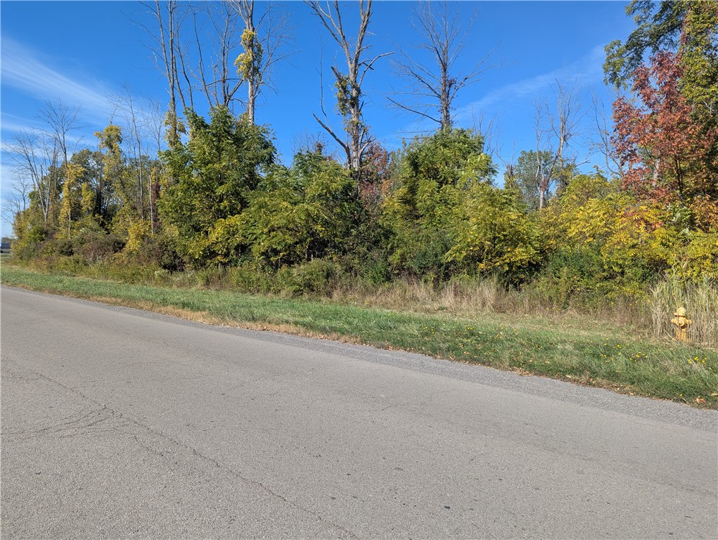 photo undefined: 425 Timothy Lane, Ontario NY 14519