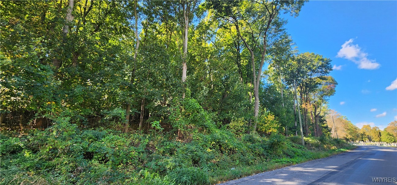 photo undefined: 20 Glenwood Avenue, Lockport City NY 14094