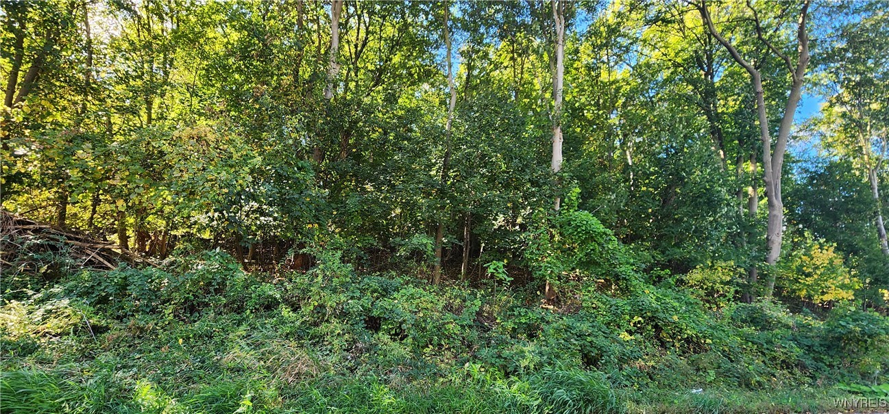 photo undefined: 57 Hill Street, Lockport City NY 14094