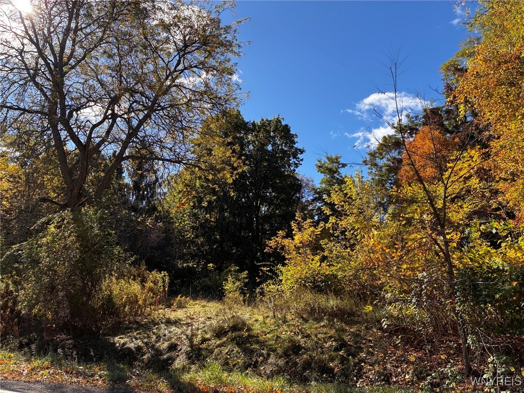 photo undefined: 2295 Gowanda Zoar Road, Collins NY 14070