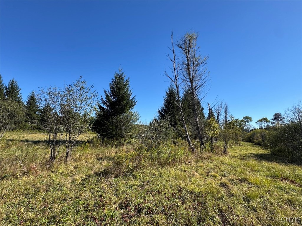 photo undefined:  County Road 96, Wayne NY 14840
