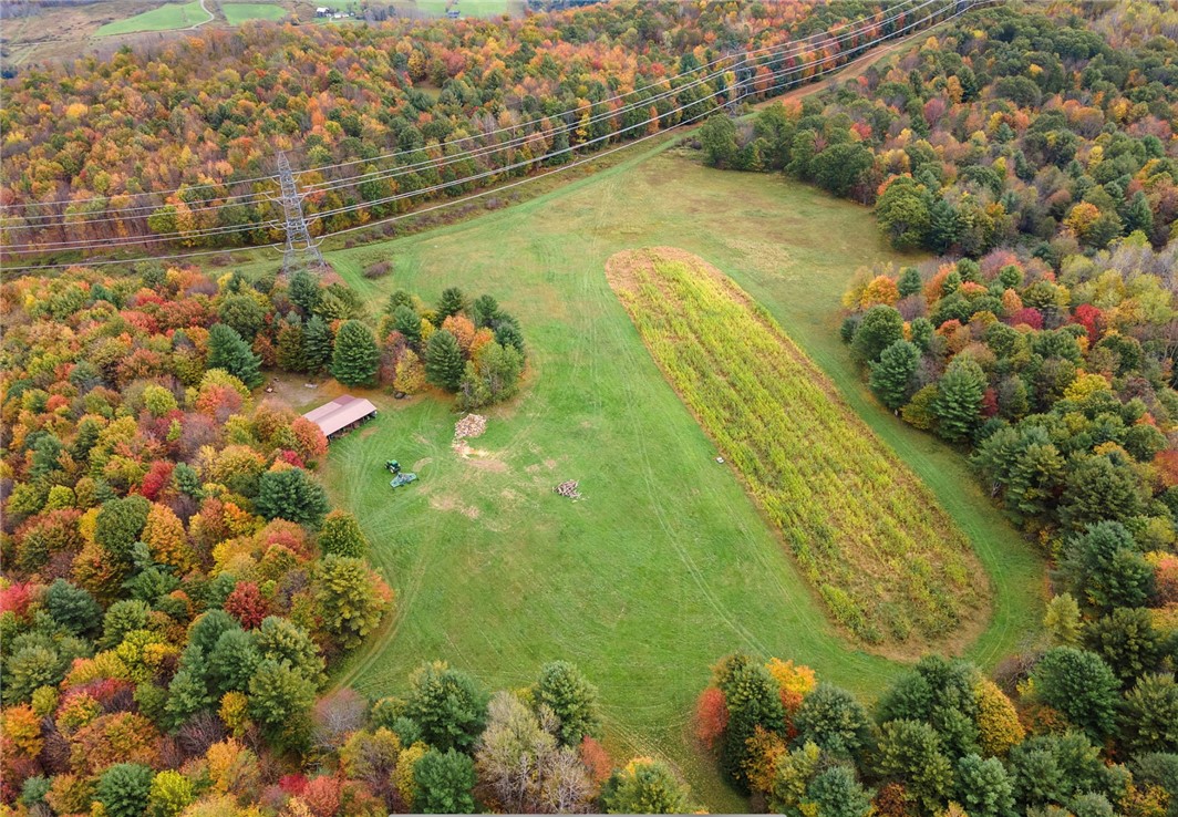photo undefined: 734 Post Road, Franklin NY 13775