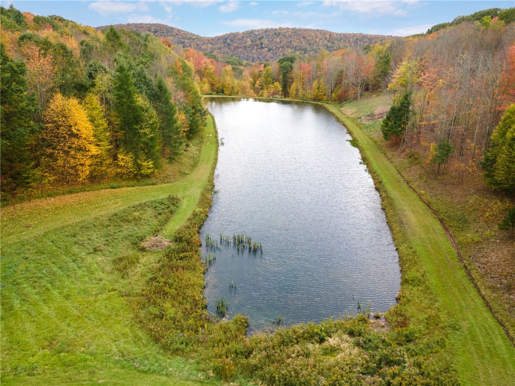 photo T2f-oh6VIgKSQzJqxx0KD7rs: 734 Post Road, Franklin NY 13775