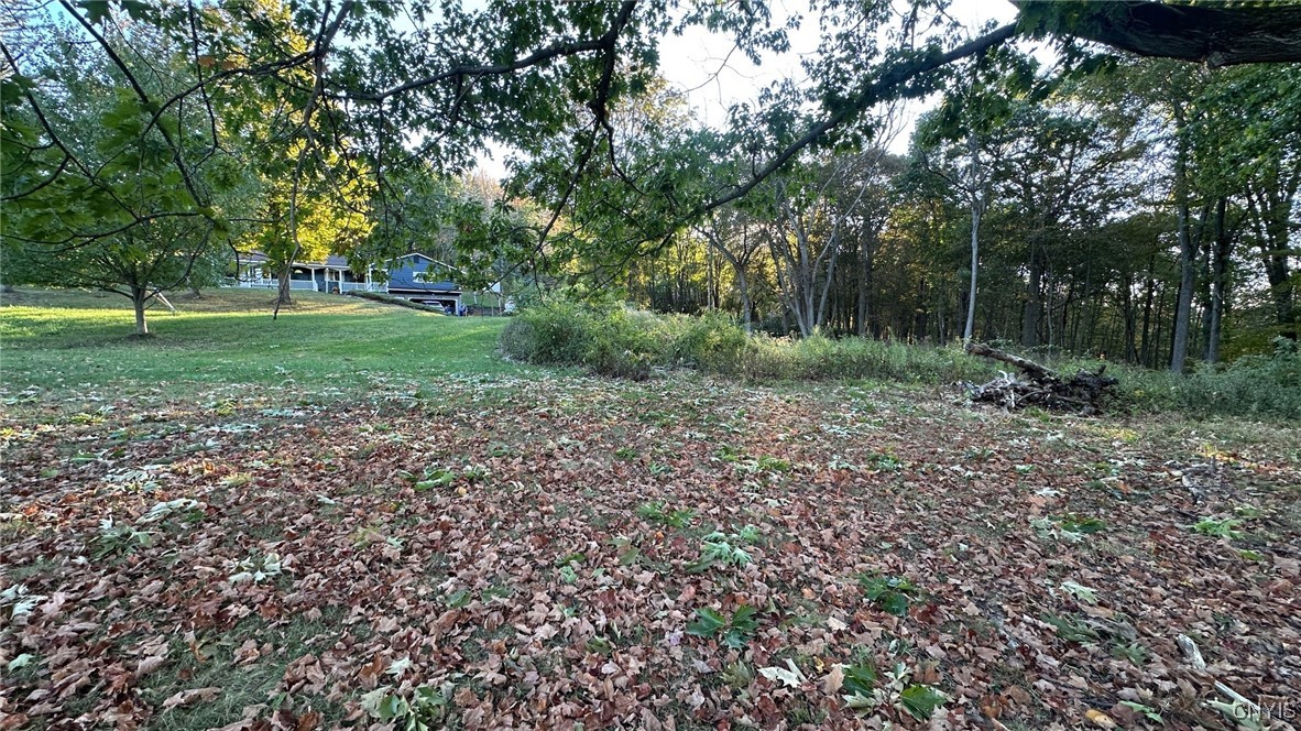 photo undefined: 00 Nob Road, Utica NY 13501