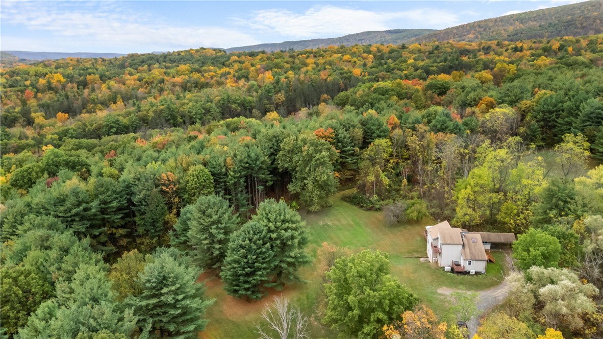 photo undefined: 7356 Mitchellsville Hill Road, Urbana NY 14840