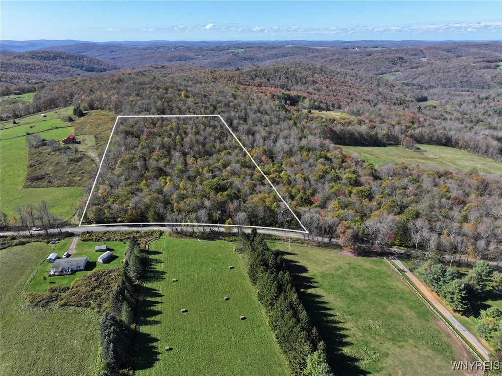 photo undefined: 00 Ridge Road, Hamden NY 13782