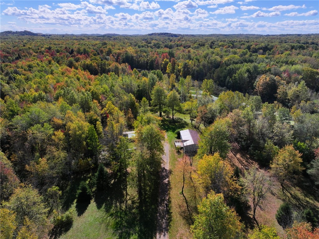 photo undefined: 13562 Jenkins Road, Wolcott NY 13143