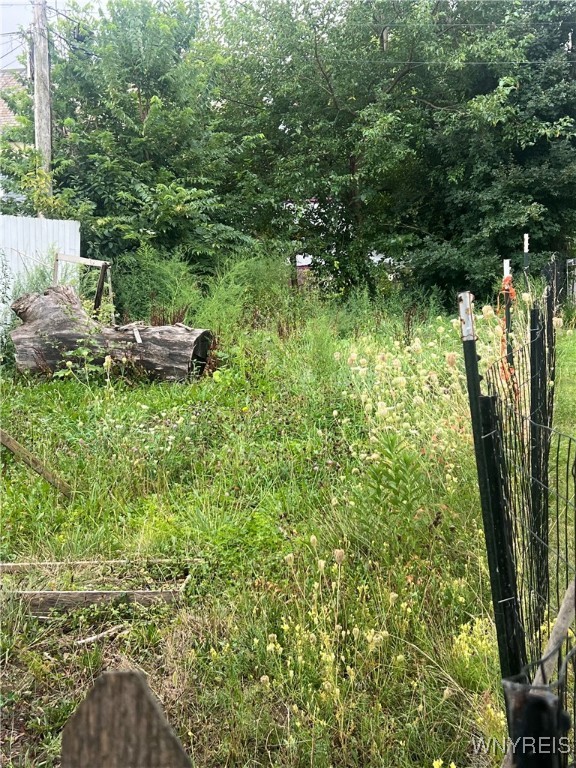 photo undefined: 101 Rhode Island Street, Buffalo NY 14213