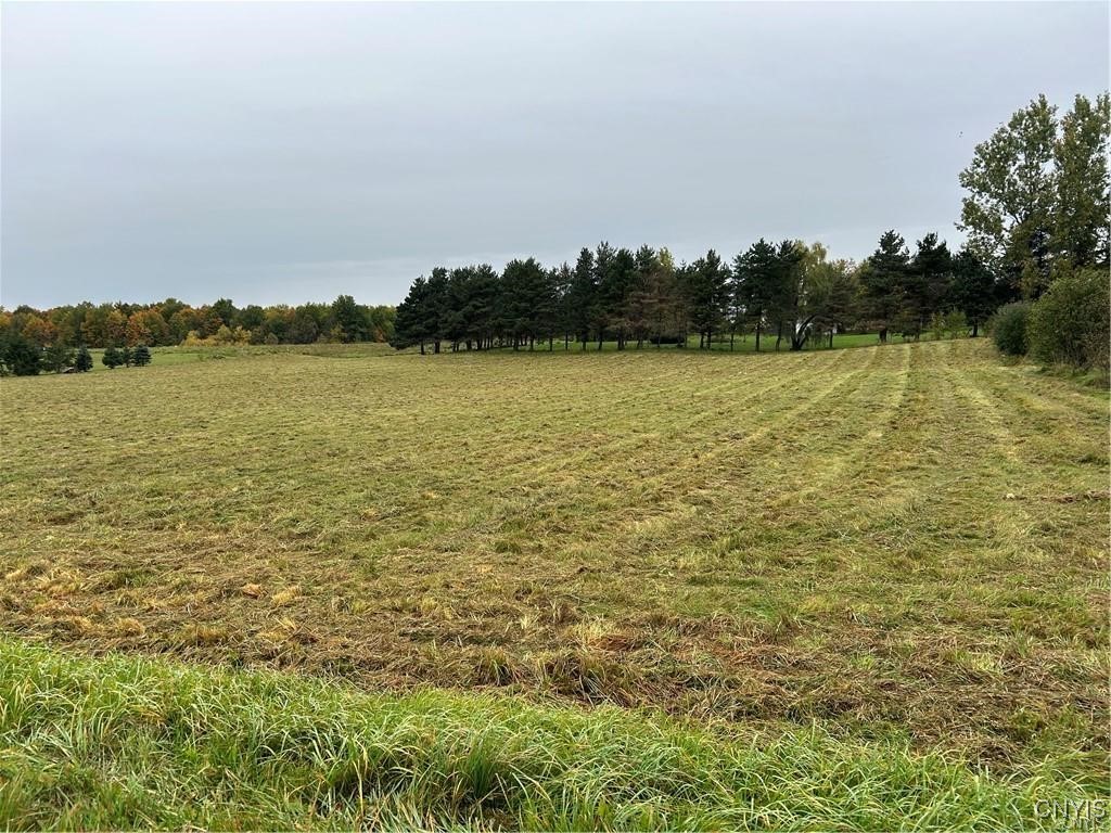 photo 0: 00 Plank Road, Pamelia NY 13616