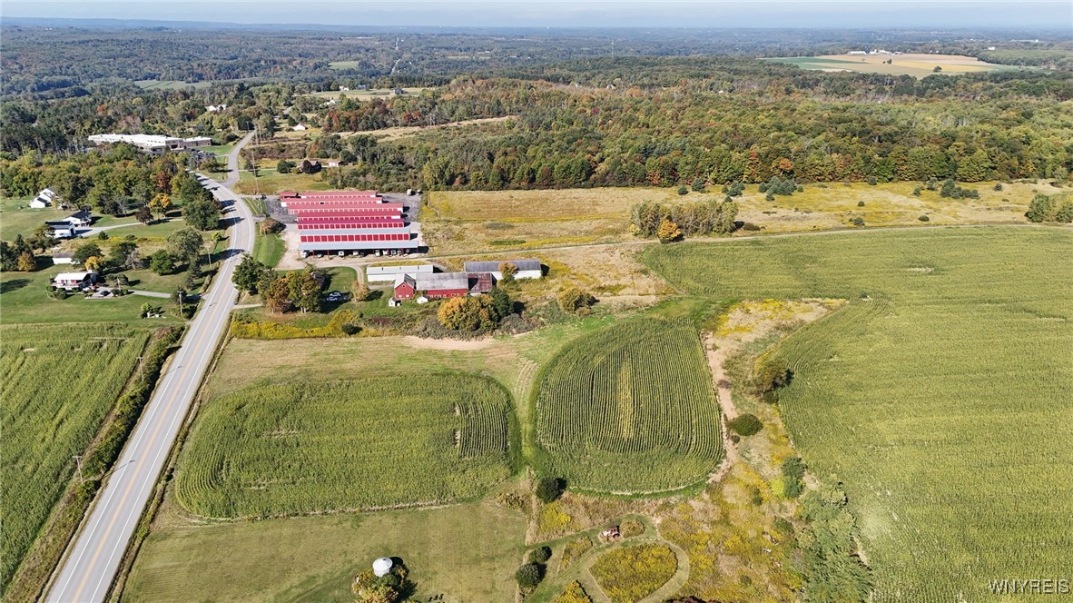 photo undefined: 13050 Big Tree Rd Road, Wales NY 14052